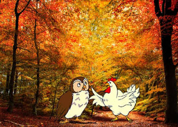 Owl and Hen checking out Fall Trees
