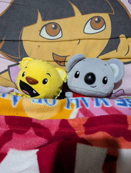 Rintoo and Tolee plush toys laying in my bed