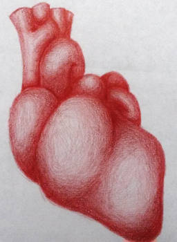 Heart Study