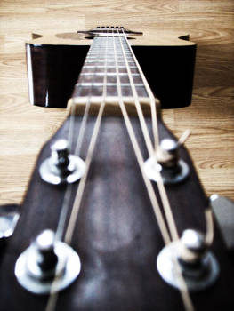 The Guitar: Perspective