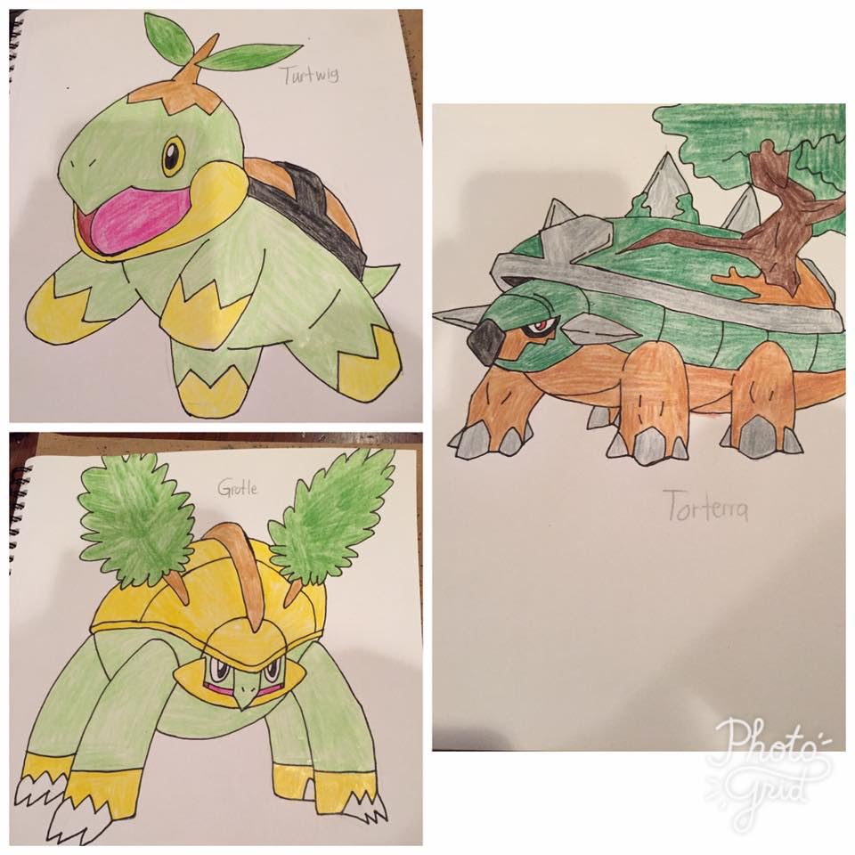 Grotle Deviantart Turtwig - Grotle - Torterra by avenger5445 on DeviantArt