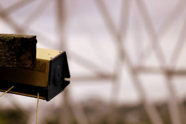 Rustic Clothesline