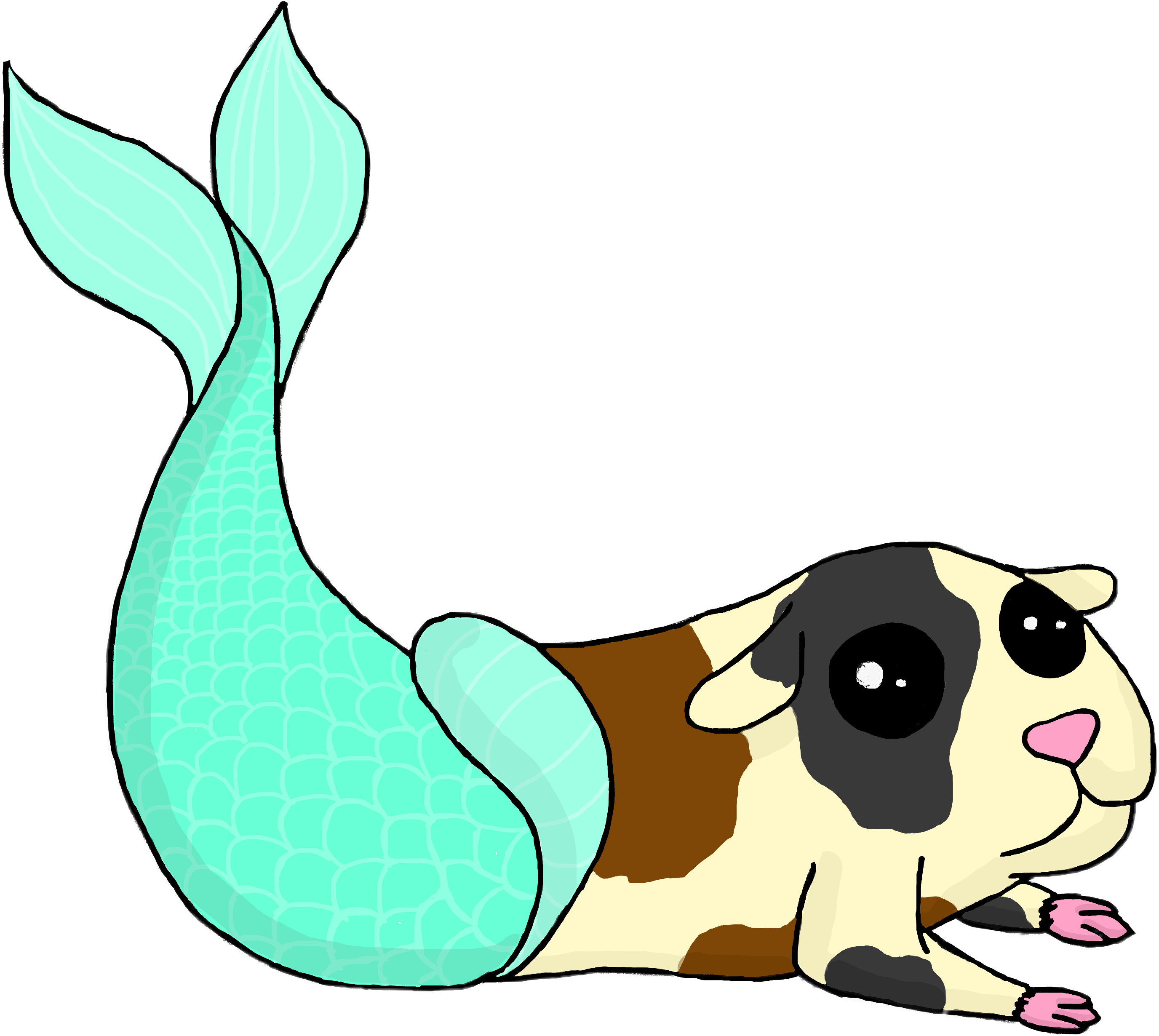 Guinea pig best sale mermaid