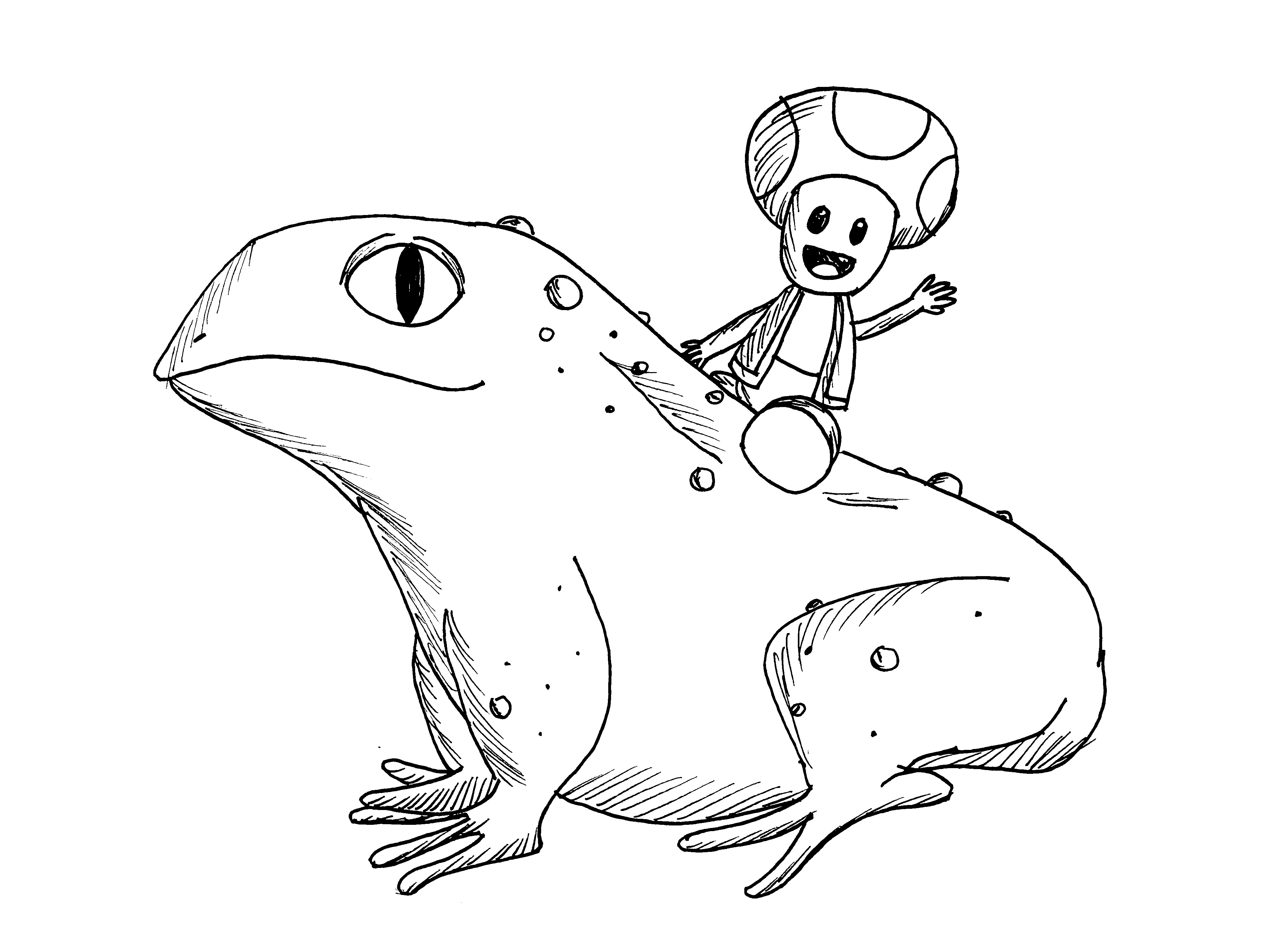 Toad Riding a Toad by artistmarianhayes on DeviantArt