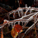 ice 2009 by FlorinALF