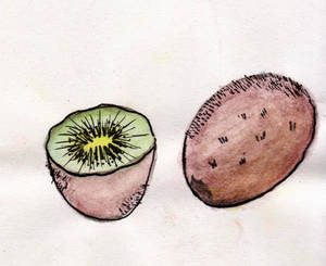 Aquarelle Kiwi