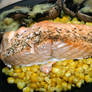 Grilled salmon