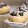 Blueberry tart 4