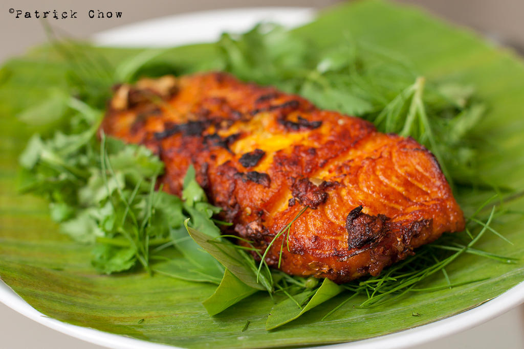 Grilled tumeric fish 1 by patchow on DeviantArt
