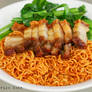 Roast pork noodles 2