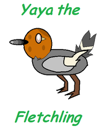 Yaya the Fletchling