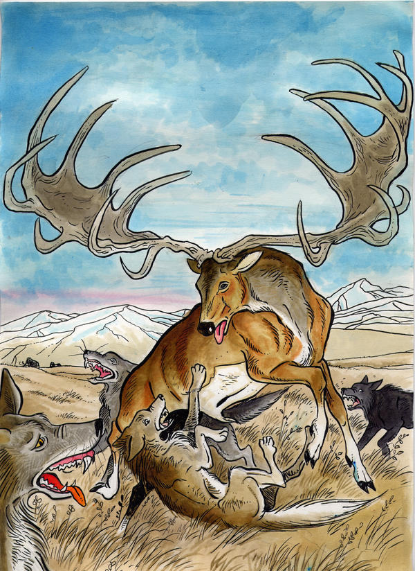 Megaloceros fighting wolves