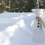 Frosty the little snow rag-cat