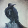 Crow