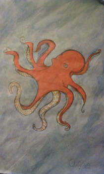 My Octopus