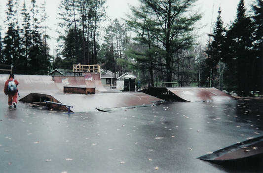 the lonesome skater