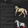 Spirit Horse Breedsheet
