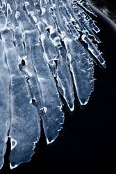 Ice feathers