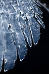 Ice feathers by JuhaniViitanen