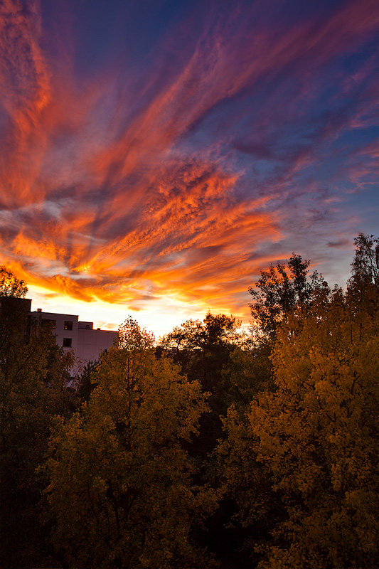 View from my balcony