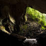 Deer Cave