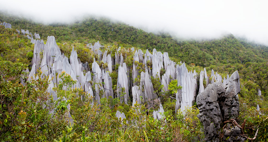 The Pinnacles