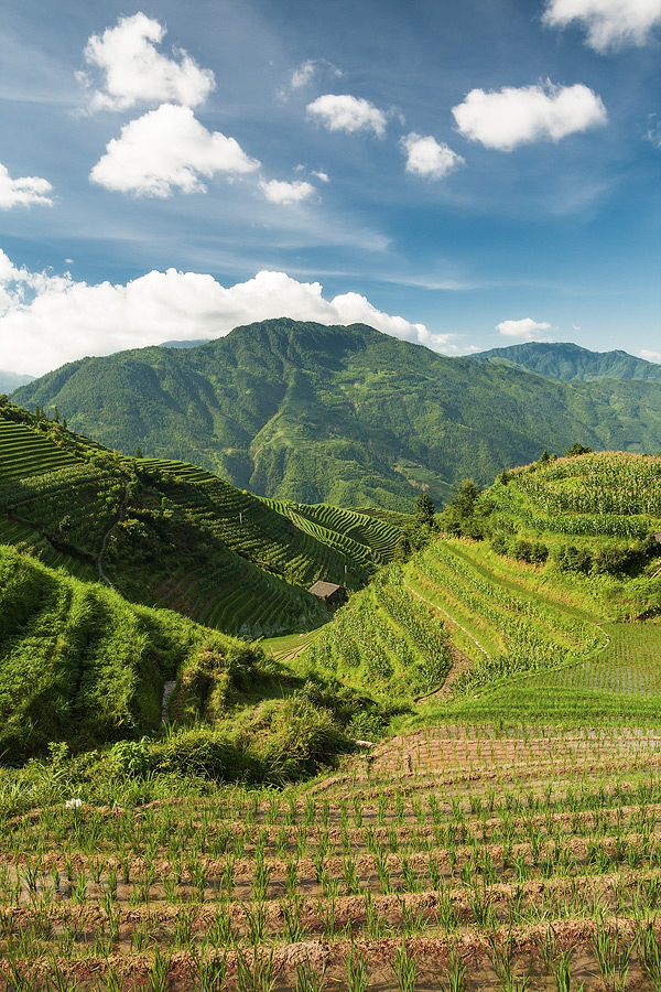 Longshen rice terraces