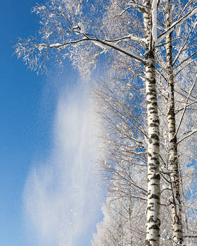 Snow falling from trees 2