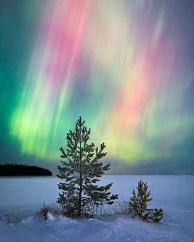 Watching the northern lights