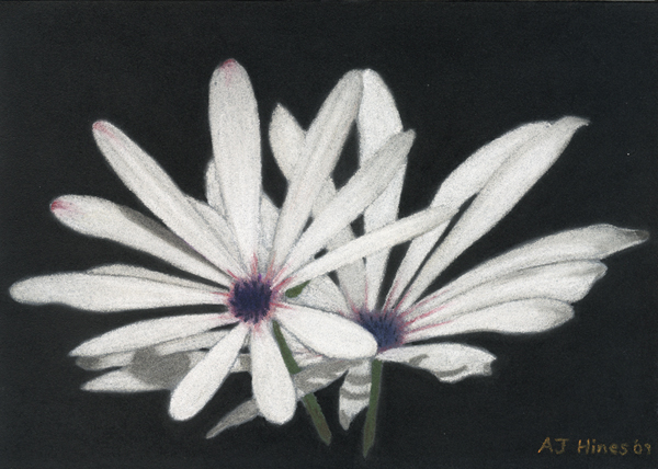 Flowers in Pastel