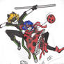 Ladybug and Cat Noir