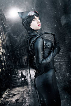 Catwoman - Selina Kyle from DC Comics