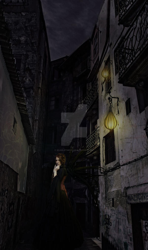 the alleyway at midnight