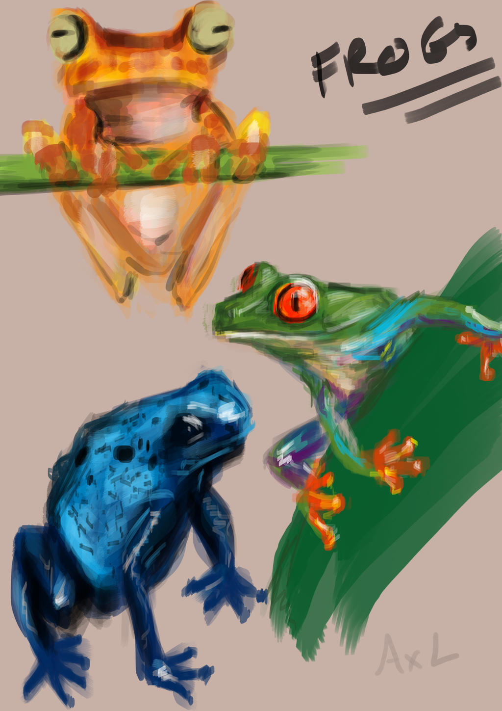 Frogs study by axoupixouhou on DeviantArt