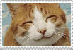 KITTY STAMP