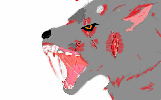 angry wolf