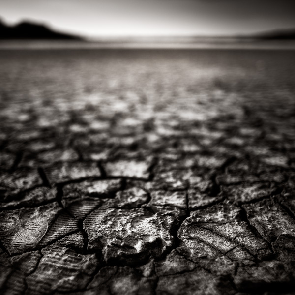 Desert by xavierrey