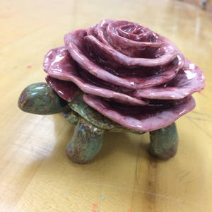 Rose Turtle