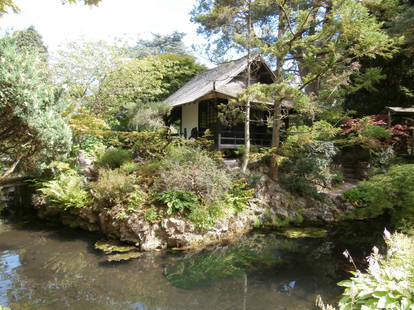 Japanese Tea House