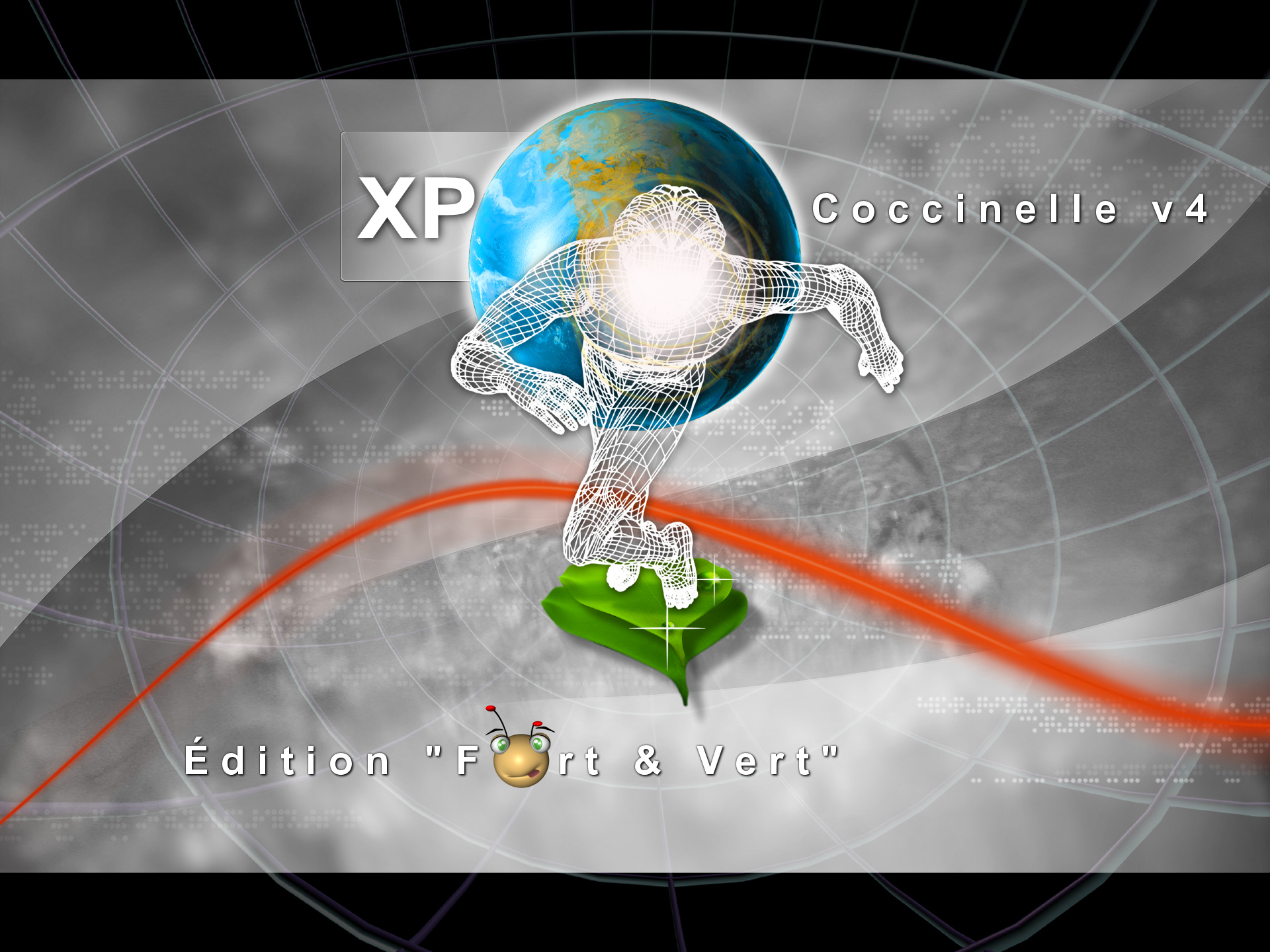 XP Coccinelle v4 WP28