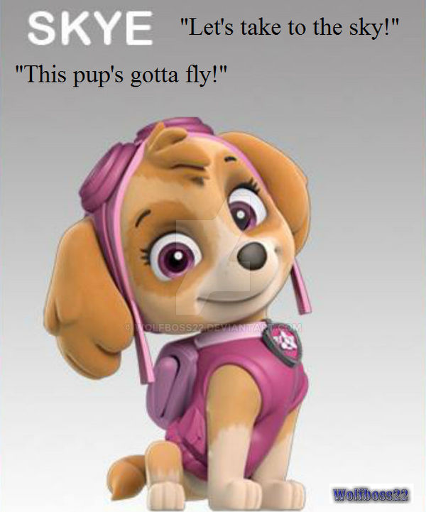 what kind of dog is skye in paw patrol - Main Image