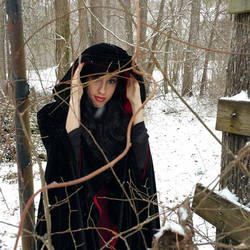 Enchantress of the Winter Woods Stock 3