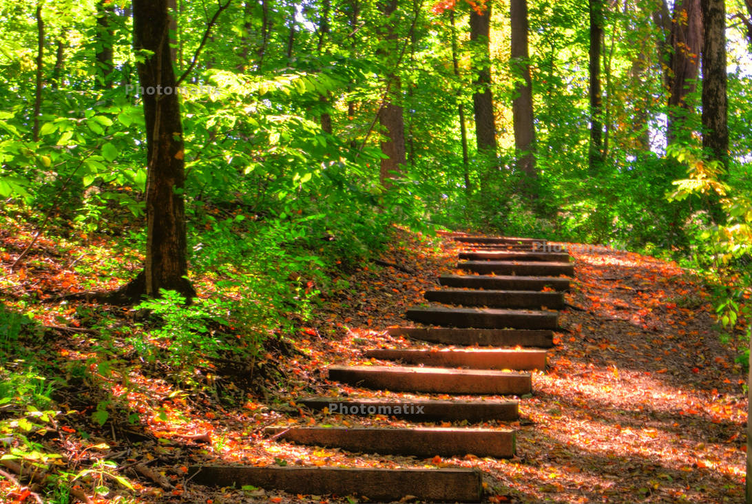 HDR Fall Steps by Bodatheyoda on DeviantArt