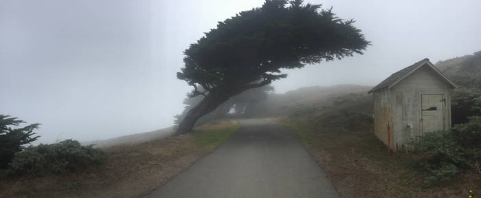 Point Reyes