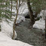 Snowy River