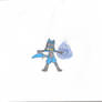 Kira, the Riolu