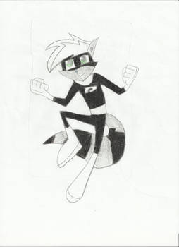 Raccoon Danny Phantom colored