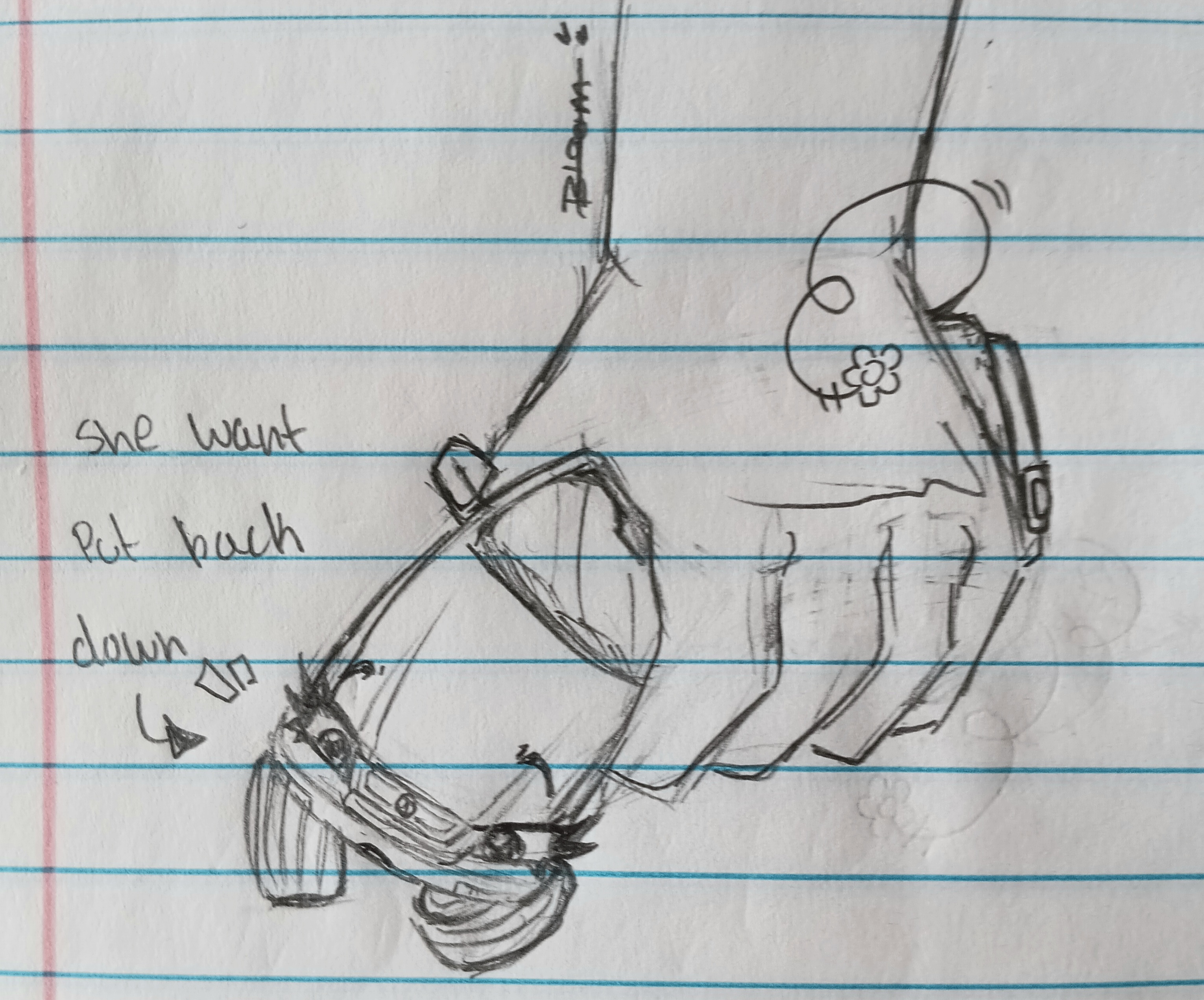 Cat Like Behavior (doodle)