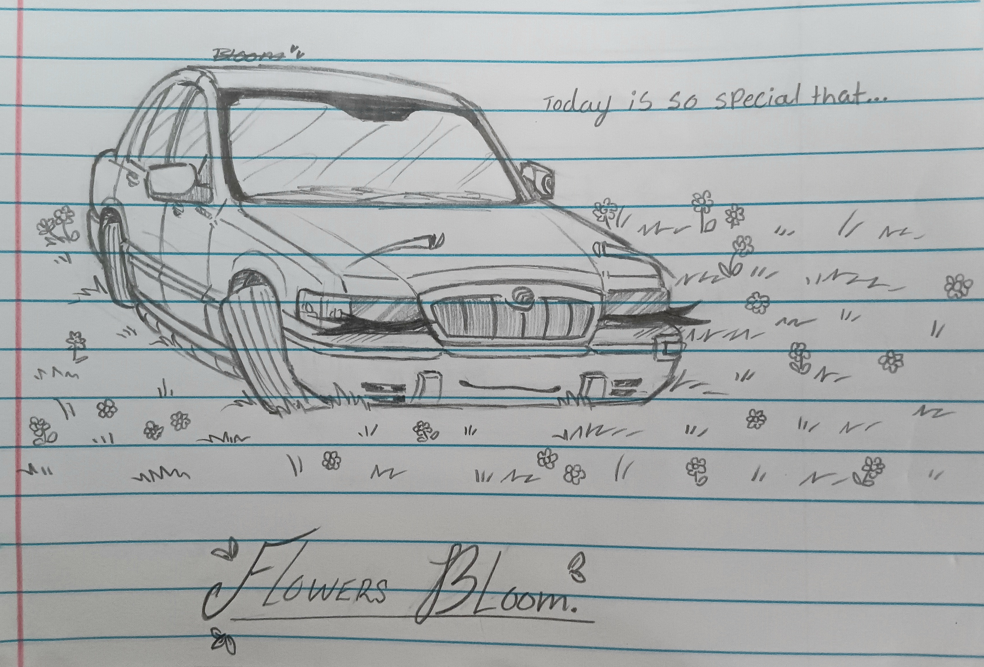 Flower Field (Mothers Day)