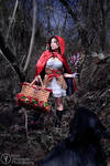 Little Red Riding Hood by Markvelasquez